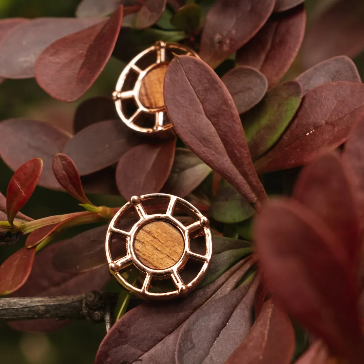 Amulet Earrings