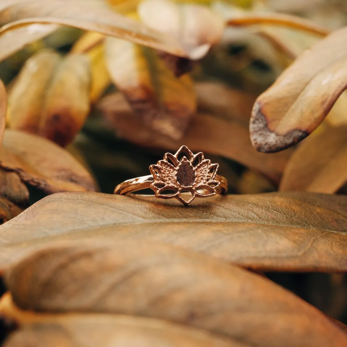 Balance Ring
