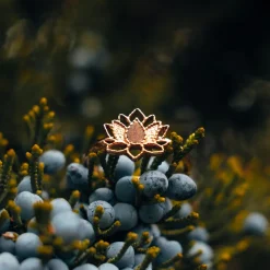 Balance Ring