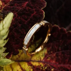 Campania Ring