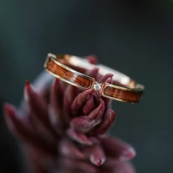 CAMPANIA RING