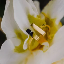 Campania Ring