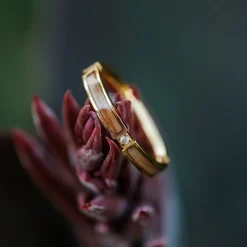 CAMPANIA RING