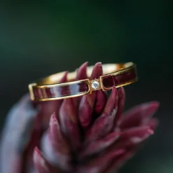 CAMPANIA RING