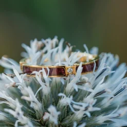 CAMPANIA RING