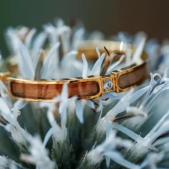 CAMPANIA RING