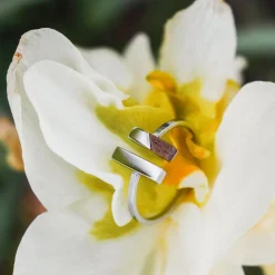 Campania Ring