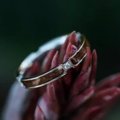 CAMPANIA RING II