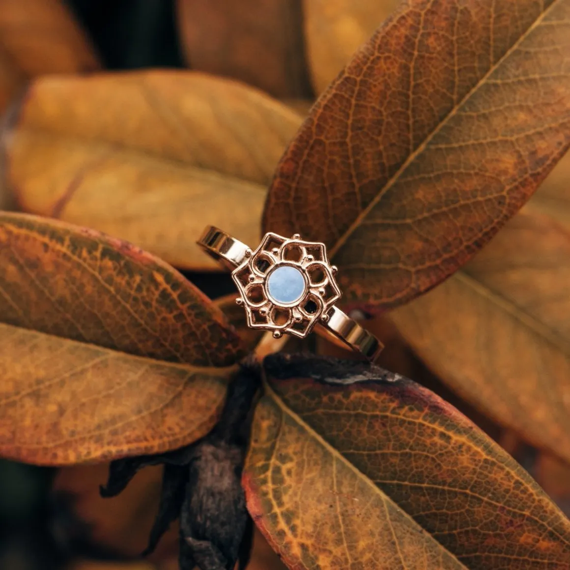 Composition Ring