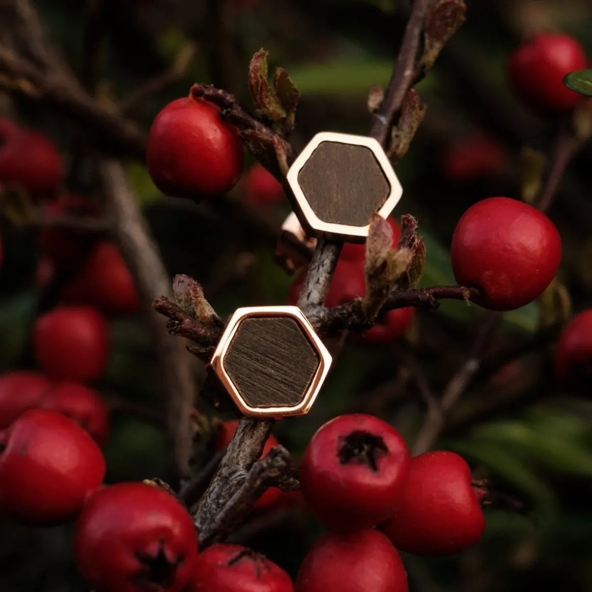 Facade Earrings