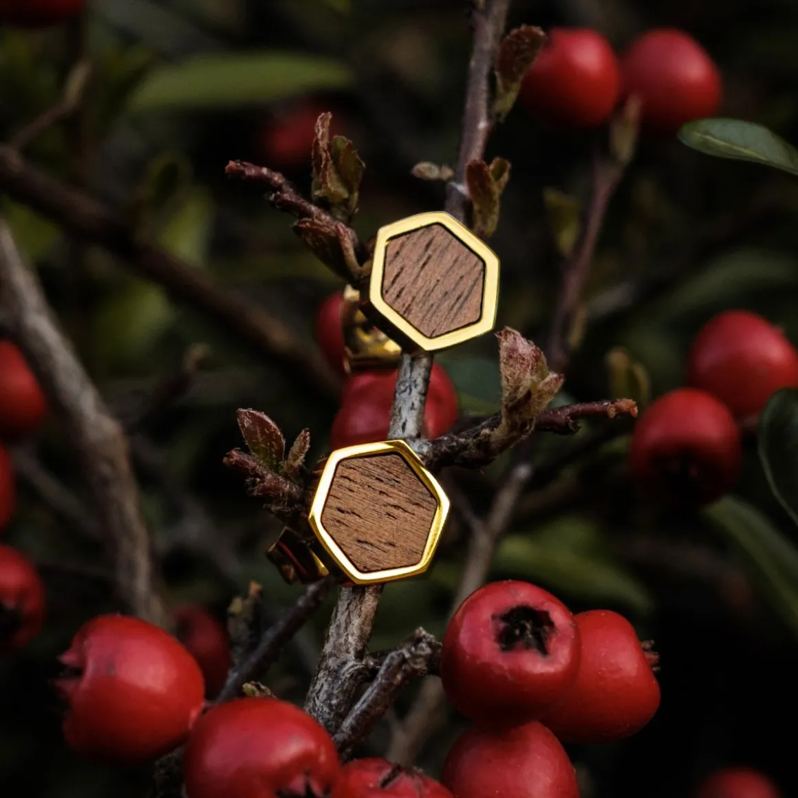 Facade Earrings