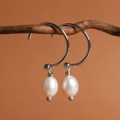 Panoramic Earrings