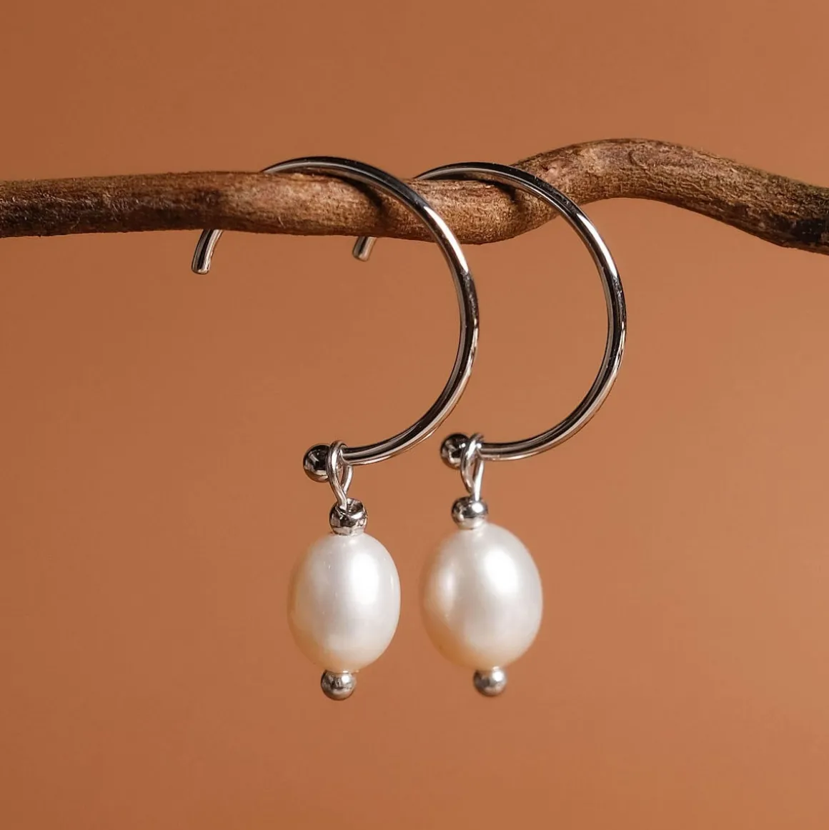 Panoramic Earrings