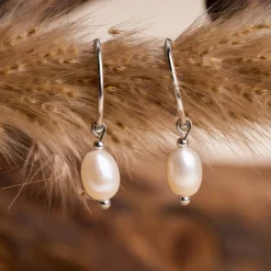 Panoramic Earrings