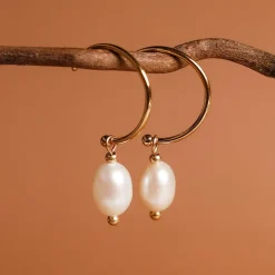 Panoramic Earrings