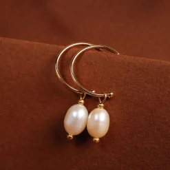 Panoramic Earrings
