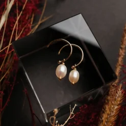 Panoramic Earrings