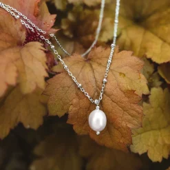 Panoramic Necklace