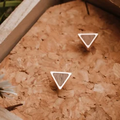 Scale Earrings