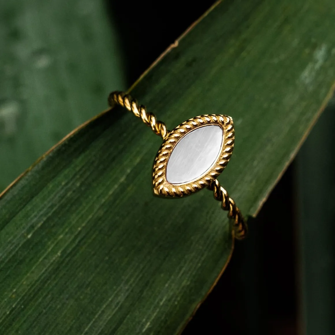 Visual Ring