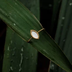 Visual Ring