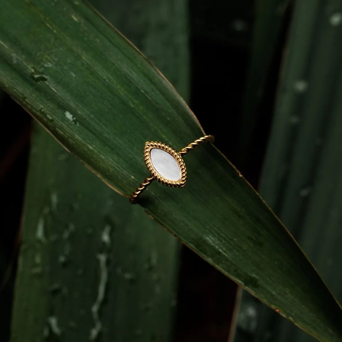 Visual Ring