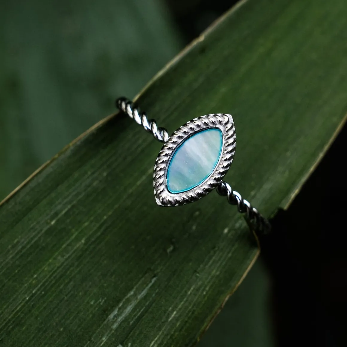 Visual Ring