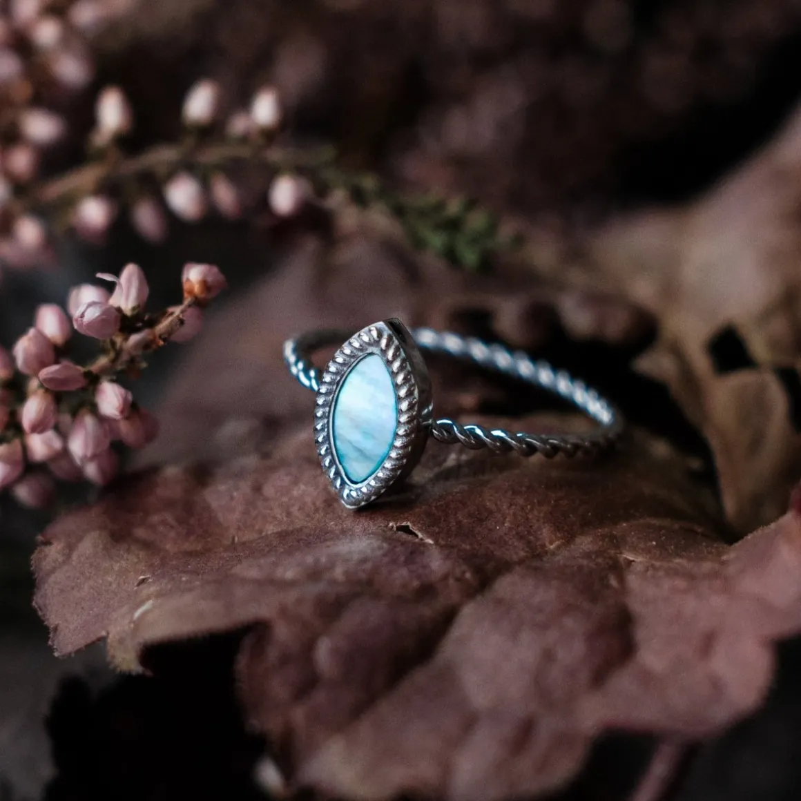 Visual Ring